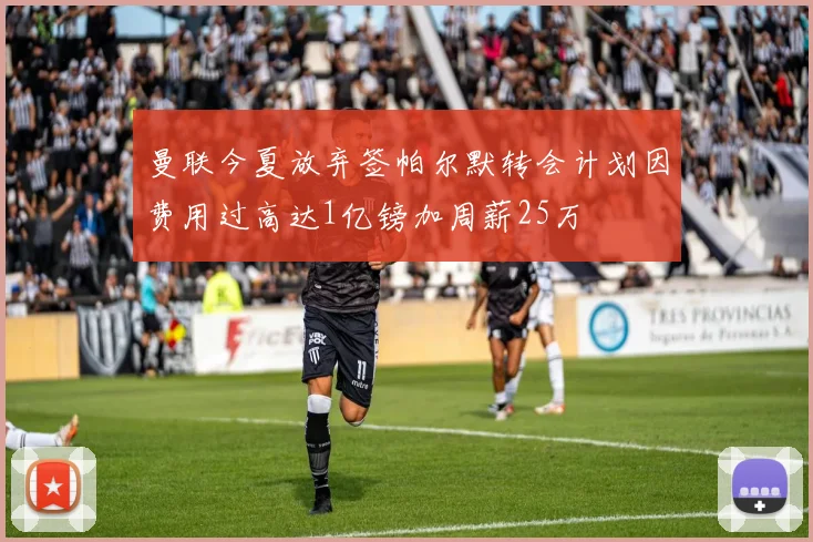 曼联今夏放弃签帕尔默转会计划因费用过高达1亿镑加周薪25万