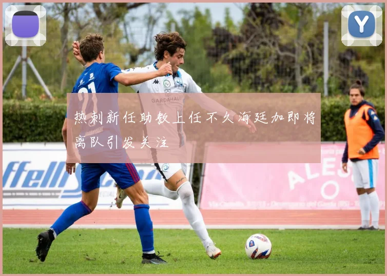 热刺新任助教上任不久海廷加即将离队引发关注