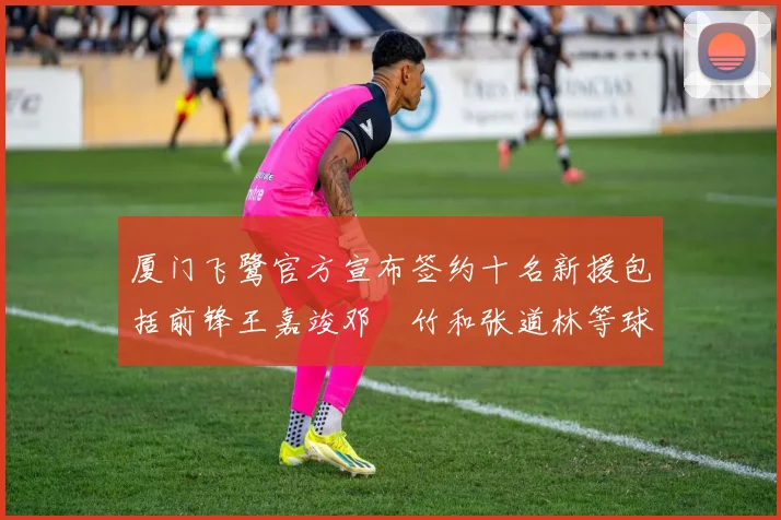 厦门飞鹭官方宣布签约十名新援包括前锋王嘉竣邓棽竹和张道林等球员